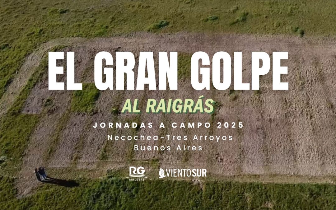 Informe de El gran golpe al raigrás 2025