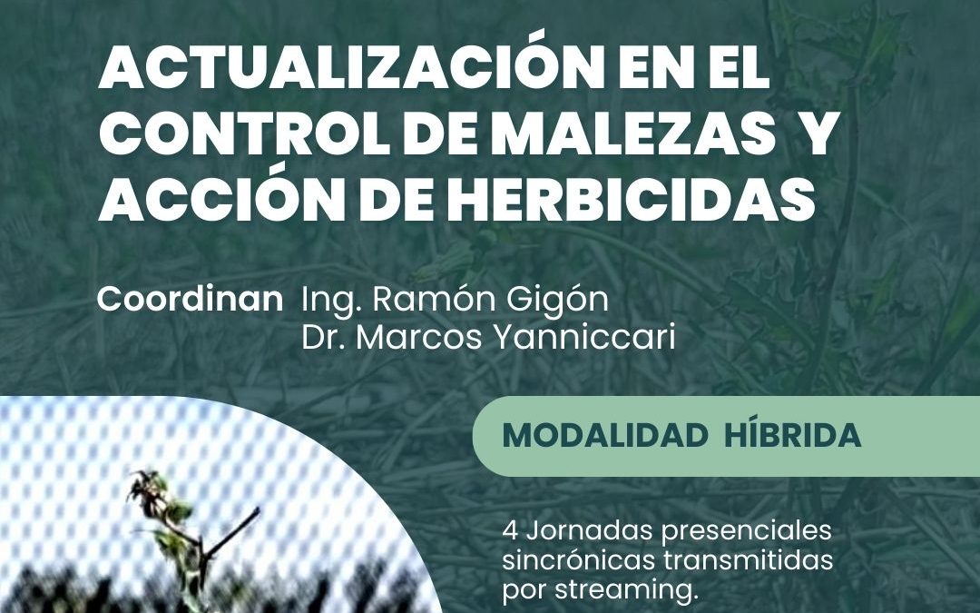 Actualización en el control de malezas y acción de herbicidas